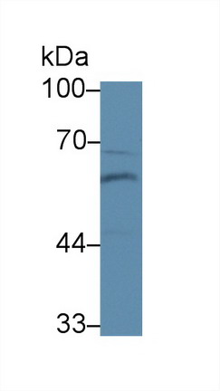 8491