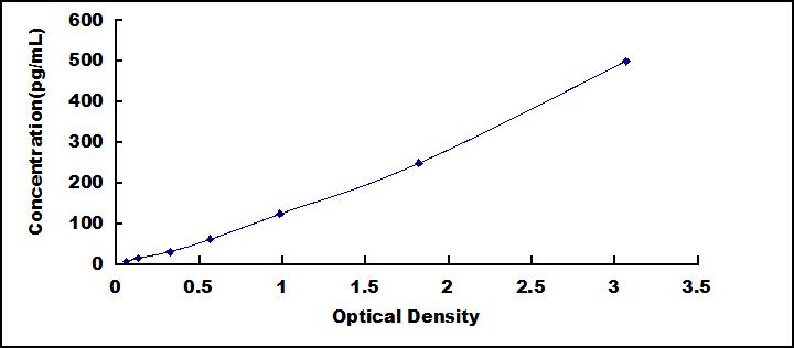 63621