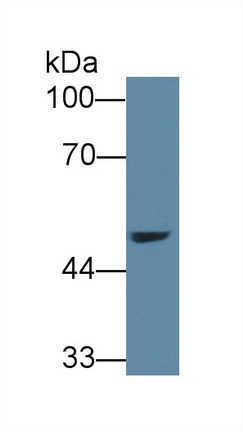 14112