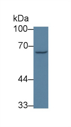 13973