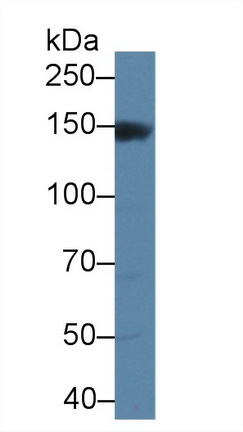 10358