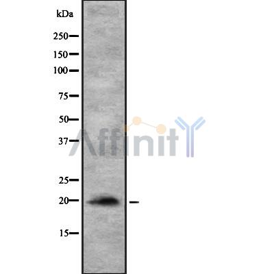 Валидация Affinity DF7798 - 19612