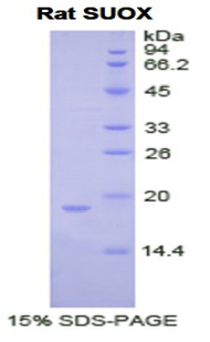 48080