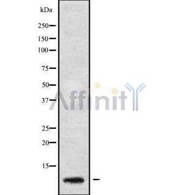 Валидация Affinity DF9561 - 22230