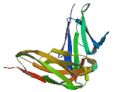 Fibrinogen Alpha (FGa)