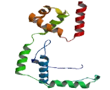 SWI/SNF Related, Matrix Associated, Actin Dependent Regulator Of Chromatin, Subfamily A, Member 5 (SMARCA5)