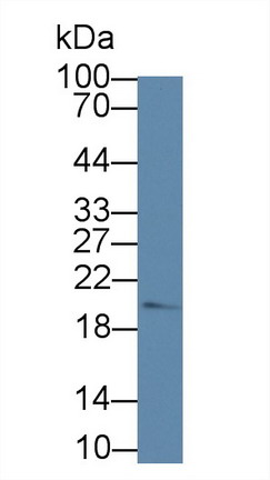 8771