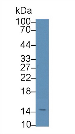 12320
