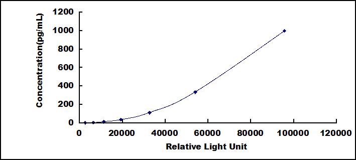 51537