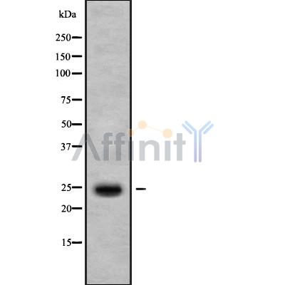 Валидация Affinity DF10112 - 5620