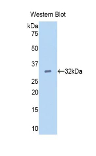 49678