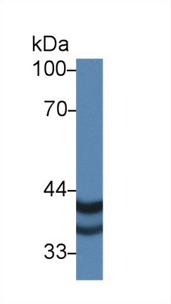 9252