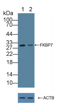 12166