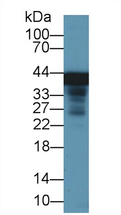 13415