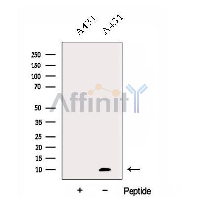 Валидация Affinity DF12966 - 7735