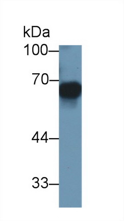 10500