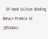 EF-Hand Calcium Binding Domain Protein 14 (EFCAB14)