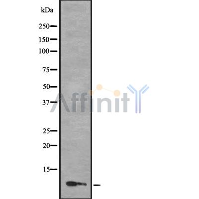 Валидация Affinity DF8213 - 20048