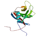 Receptor II For The Fc Region Of Immunoglobulin E (FceRII)