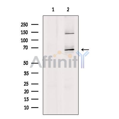 Валидация Affinity DF7695 - 19477