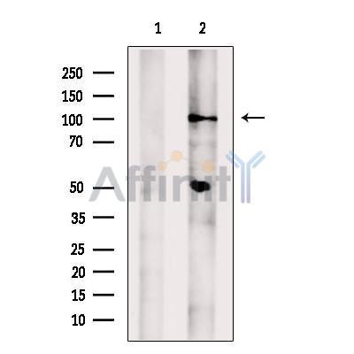 Валидация Affinity DF13421 - 8723