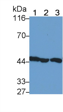 23580