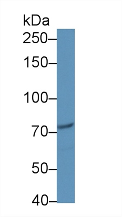 8700