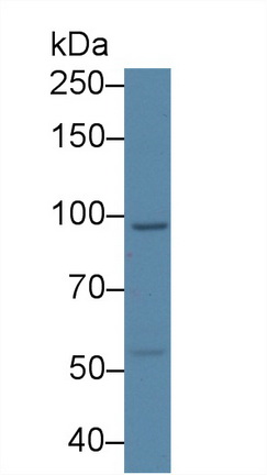 8808