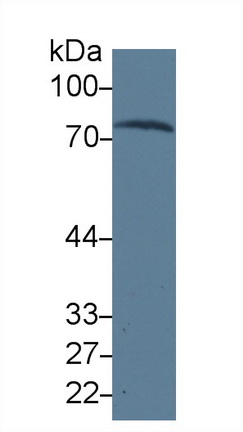 10479