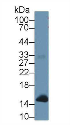 9655