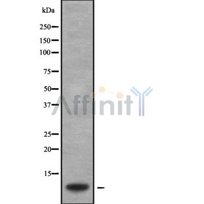 Валидация Affinity DF9558 - 22224