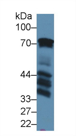 13540