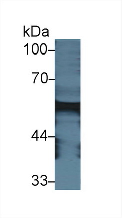12440