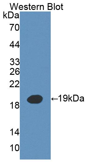 38820