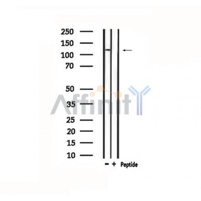 Валидация Affinity DF4776 - 16495