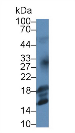 22700