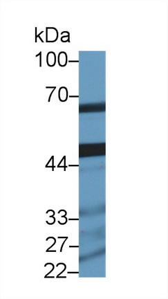 10330