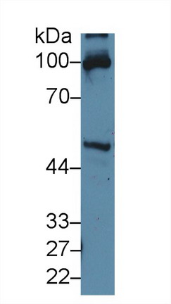 13885