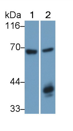 22013