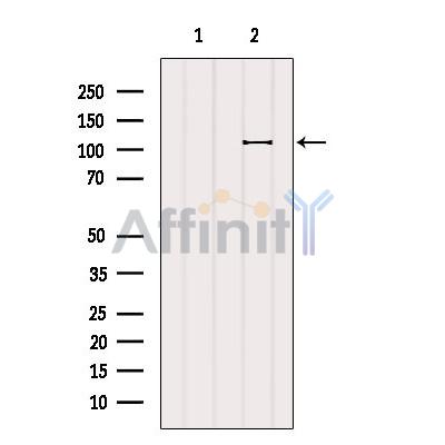 Валидация Affinity DF8317 - 20170