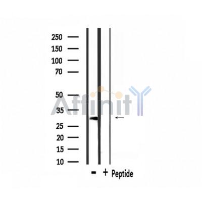 Валидация Affinity DF3540 - 14485