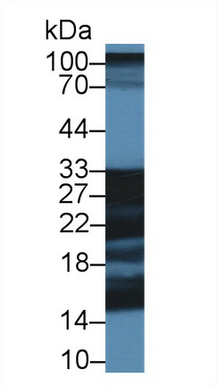 28626