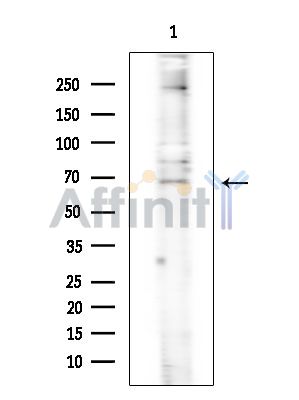 Валидация Affinity DF15363 - 11672
