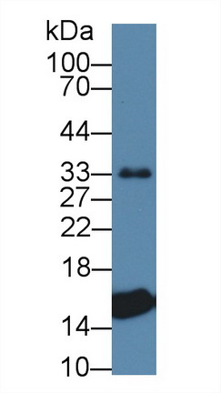 8502