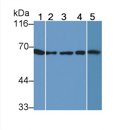 13158