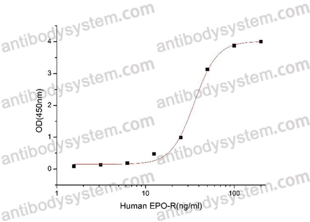 Валидация активности AntibodySystem AHD32801