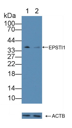 12191