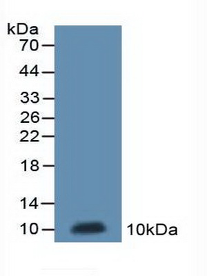 48220