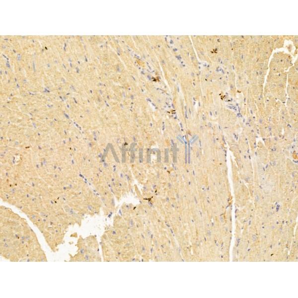 Валидация Affinity DF13016 - 7817