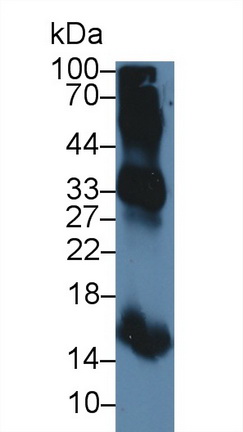 12483